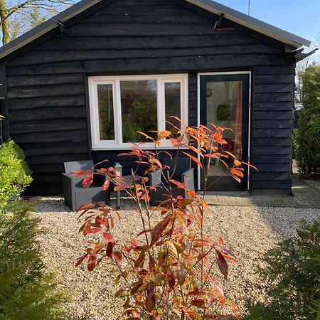 Veluwse Bos En Heide Studio Otterlo Exteriér fotografie